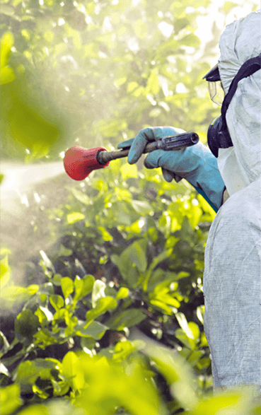 Agrícola y Fertilizantes